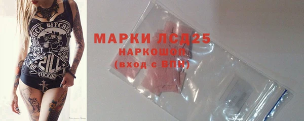 прущие грибы Армянск