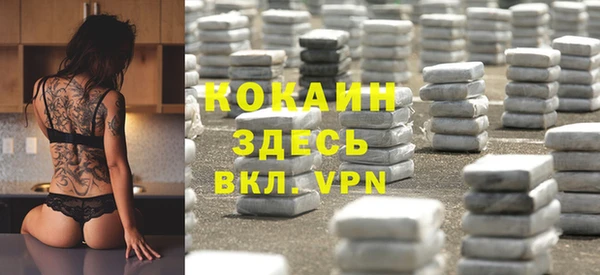 прущие грибы Армянск