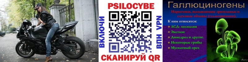 Галлюциногенные грибы MAGIC MUSHROOMS  купить наркоту  Пошехонье 